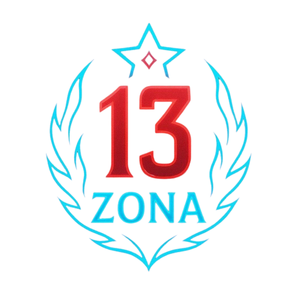 13 Zona logo