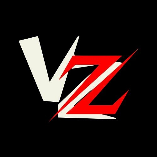 VZ ESPORTS logo